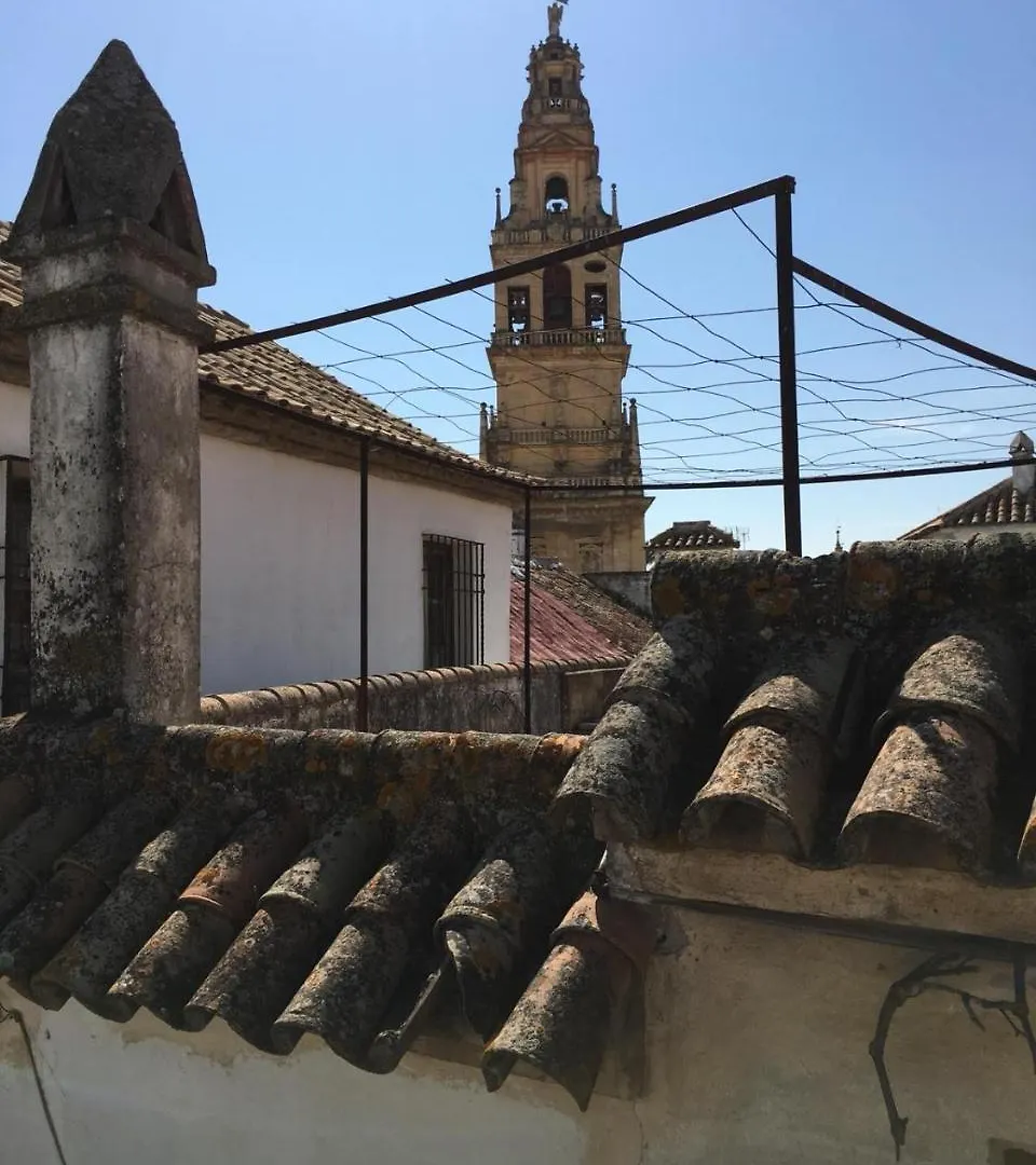 Apartment Seneca Hostel Cordoba
